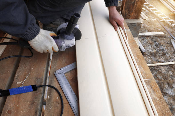 Best Siding Painting and Refinishing  in Madison, FL